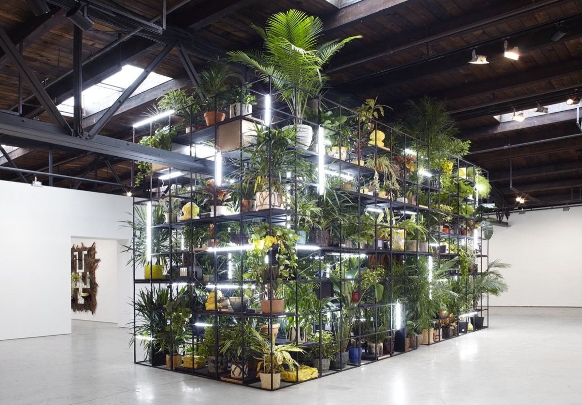 Инсталляция Rashid Johnson: Fly Away Рашида Джонсона в галерее Hauser & Wirth Инсталляция Rashid Johnson: Fly Away Рашида Джонсона в галерее Hauser & Wirth