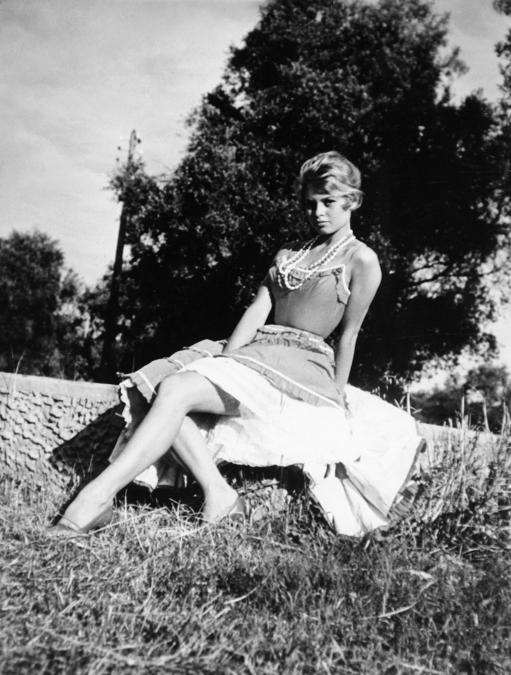 В 1954 году 1964 ujl