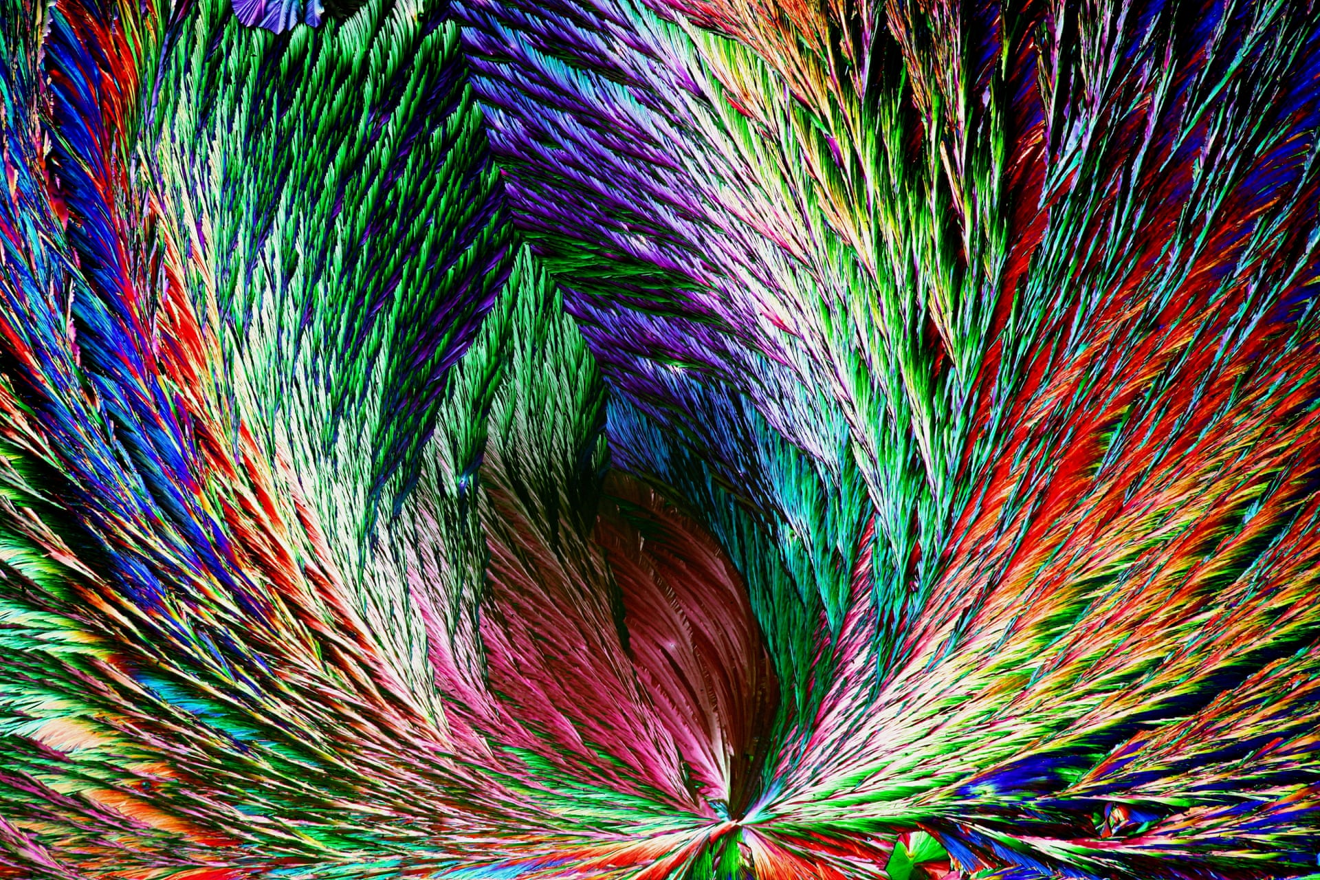 Henri Koskinen/Royal Society of Biology Henri Koskinen/Royal Society of Biology