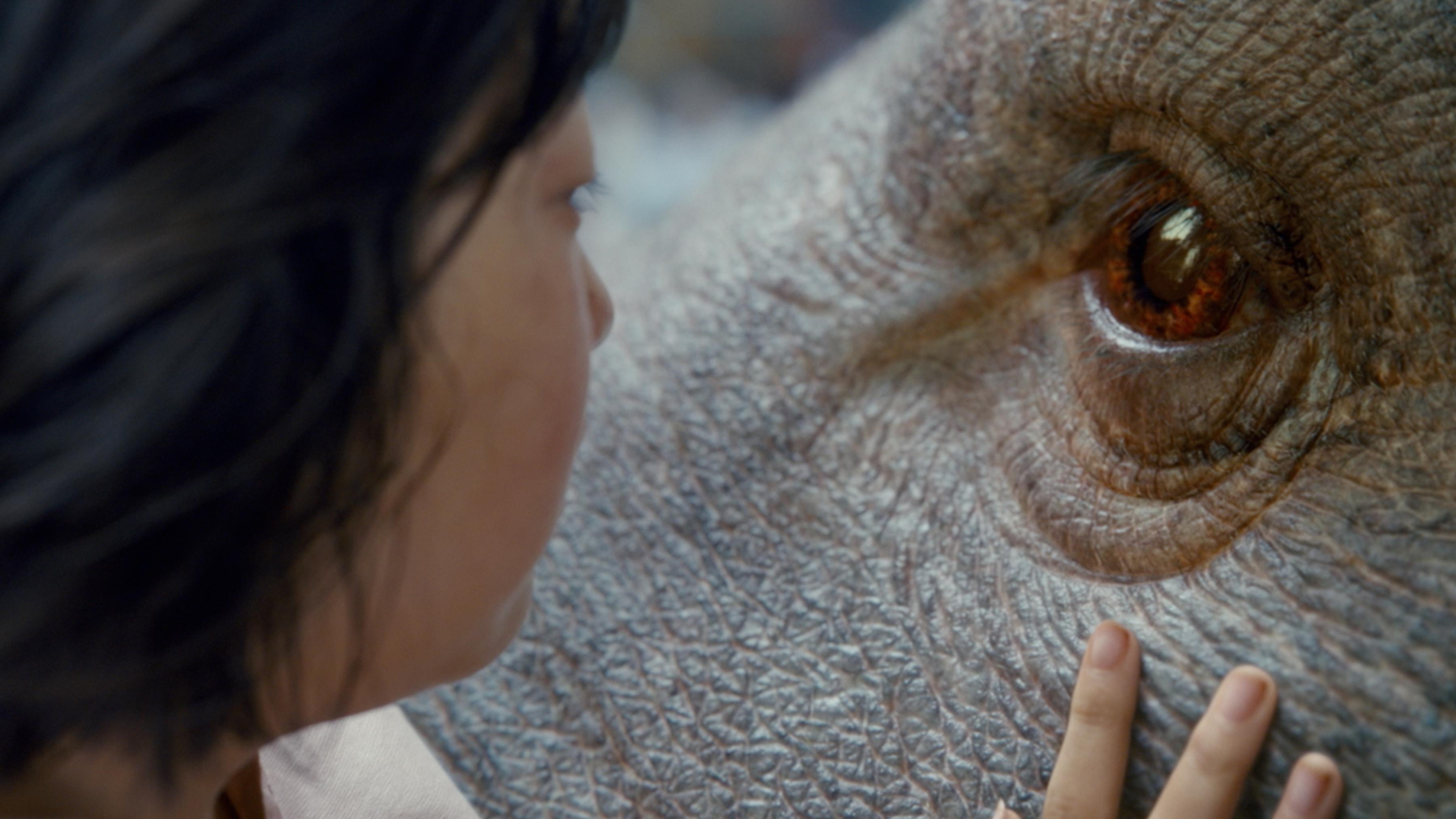Okja Okja