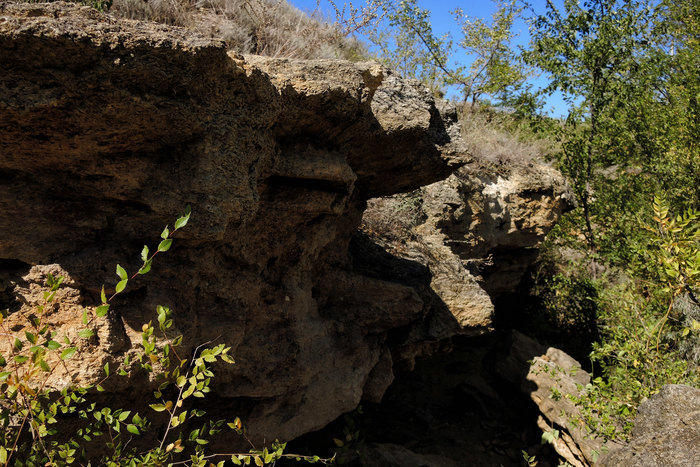a88a25ec3a570eb72c7b17ebabb105f5_cropped_700x467.jpg