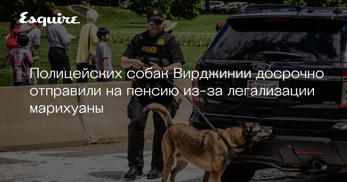 бесплодие из за марихуаны бесплодие из за марихуаны